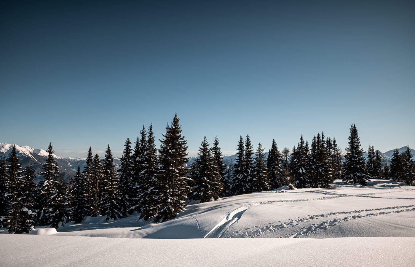 Aufnahme eines Skifahrers von unten auf einem schneebedeckten Abhang